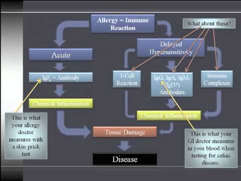 Gluten Sensitivity Vs. Celiac Disease Vs. Gluten Intolerance