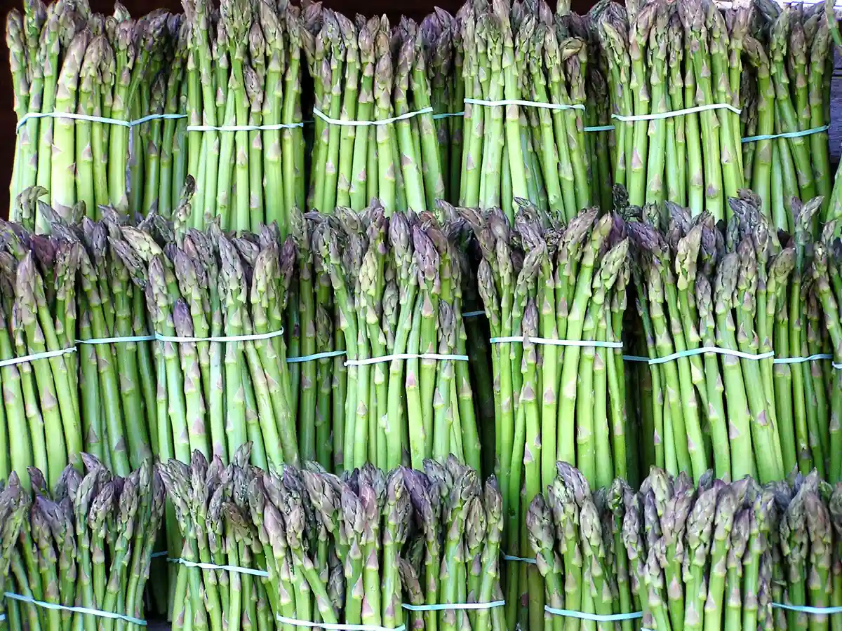 Fresh Spring and Summertime Asparagus Salad